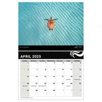 2025 Sunshine Coast Wall Calendar